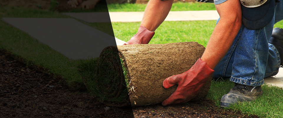 Rock Spring Landscapers